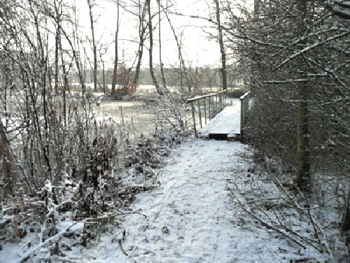 Hcker-Moor-Winter
