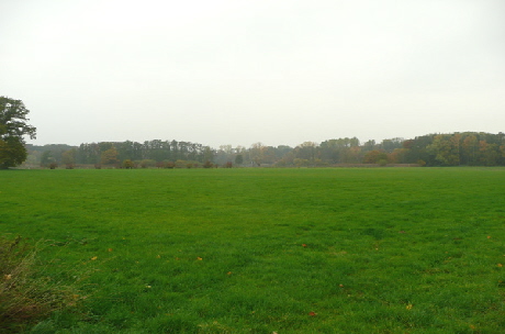 extensive Weide, rechts hinten das Hcker Moor