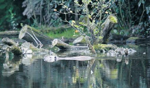 image002